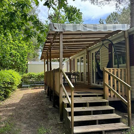 Vacances Sous Les Pins, Pres De La Mer, 6-8 Pers,Bien Equipe, Piscine Сен-Жюльен-ан-Борн Экстерьер фото