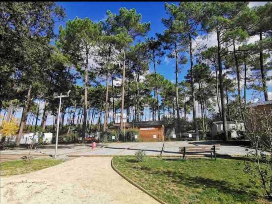 Vacances Sous Les Pins, Pres De La Mer, 6-8 Pers,Bien Equipe, Piscine Сен-Жюльен-ан-Борн Экстерьер фото